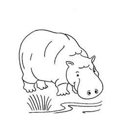 Página para colorir: hipopótamo (animais) #8804 - Páginas para Colorir Imprimíveis Gratuitamente