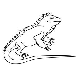 Página para colorir: Iguana (Animais) #188787 - Páginas para Colorir Imprimíveis Gratuitamente