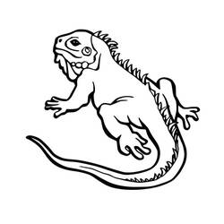 Página para colorir: Iguana (Animais) #188791 - Páginas para Colorir Imprimíveis Gratuitamente