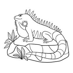 Página para colorir: Iguana (Animais) #188793 - Páginas para Colorir Imprimíveis Gratuitamente