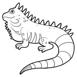 Página para colorir: Iguana (Animais) #188798 - Páginas para Colorir Imprimíveis Gratuitamente