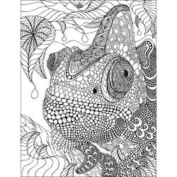 Página para colorir: iguana (animais) #8923 - Páginas para Colorir Imprimíveis Gratuitamente