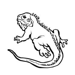 Página para colorir: iguana (animais) #8948 - Páginas para Colorir Imprimíveis Gratuitamente