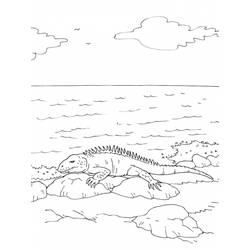 Página para colorir: iguana (animais) #8949 - Páginas para Colorir Imprimíveis Gratuitamente