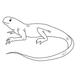 Página para colorir: iguana (animais) #8951 - Páginas para Colorir Imprimíveis Gratuitamente