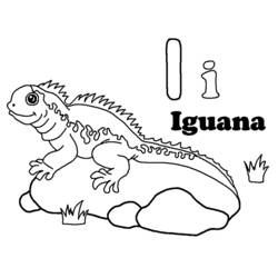 Página para colorir: iguana (animais) #8984 - Páginas para Colorir Imprimíveis Gratuitamente