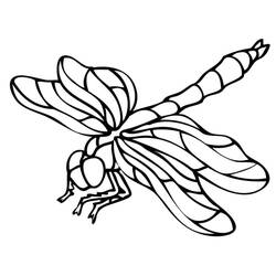 Página para colorir: Inseto (Animais) #179760 - Páginas para Colorir Imprimíveis Gratuitamente