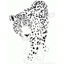 Página para colorir: Jaguar (animais) #9002 - Páginas para Colorir Imprimíveis Gratuitamente
