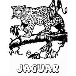 Página para colorir: Jaguar (animais) #9008 - Páginas para Colorir Imprimíveis Gratuitamente