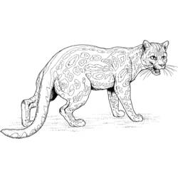 Página para colorir: Jaguar (animais) #9014 - Páginas para Colorir Imprimíveis Gratuitamente