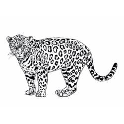 Página para colorir: Jaguar (animais) #9025 - Páginas para Colorir Imprimíveis Gratuitamente