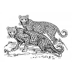 Página para colorir: Jaguar (animais) #9031 - Páginas para Colorir Imprimíveis Gratuitamente