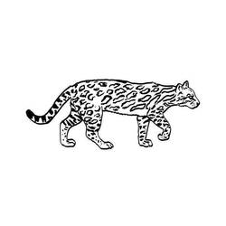 Página para colorir: Jaguar (animais) #9039 - Páginas para Colorir Imprimíveis Gratuitamente