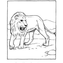 Página para colorir: Jardim zoológico (animais) #12656 - Páginas para Colorir Imprimíveis Gratuitamente