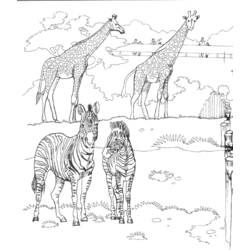 Página para colorir: Jardim zoológico (animais) #12677 - Páginas para Colorir Imprimíveis Gratuitamente