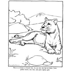 Página para colorir: Jardim zoológico (animais) #12795 - Páginas para Colorir Imprimíveis Gratuitamente