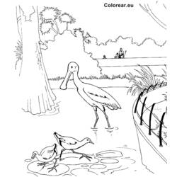 Página para colorir: Jardim zoológico (animais) #12833 - Páginas para Colorir Imprimíveis Gratuitamente