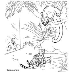 Página para colorir: Jardim zoológico (animais) #12916 - Páginas para Colorir Imprimíveis Gratuitamente