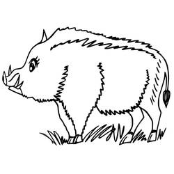 Página para colorir: Javali (Animais) #205379 - Páginas para Colorir Imprimíveis Gratuitamente