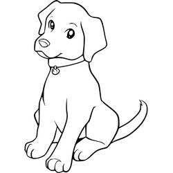 Desenho Labrador (Animais) #220734 para imprimir e colorir