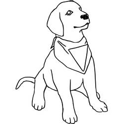 Desenho Labrador (Animais) #220745 para imprimir e colorir