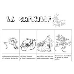 Página para colorir: Lagarta (animais) #18306 - Páginas para Colorir Imprimíveis Gratuitamente