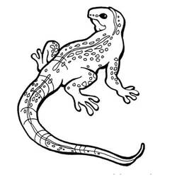Desenho Lagarto (Animais) #179638 para imprimir e colorir
