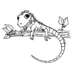 Desenho Lagarto (Animais) #179647 para imprimir e colorir