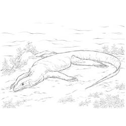 Desenho Lagarto (Animais) #217856 para imprimir e colorir