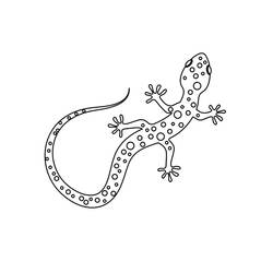 Desenho Lagarto (Animais) #217865 para imprimir e colorir