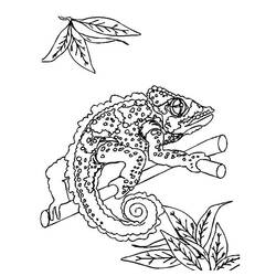 Página para colorir: lagartos (animais) #22330 - Páginas para Colorir Imprimíveis Gratuitamente