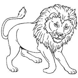 Página para colorir: Leão (animais) #10270 - Páginas para Colorir Imprimíveis Gratuitamente
