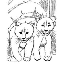 Página para colorir: Leão (animais) #10296 - Páginas para Colorir Imprimíveis Gratuitamente