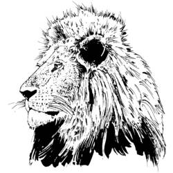 Página para colorir: Leão (animais) #10316 - Páginas para Colorir Imprimíveis Gratuitamente