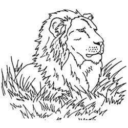 Página para colorir: Leão (animais) #10349 - Páginas para Colorir Imprimíveis Gratuitamente
