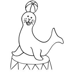 Desenho Leão-marinho (Animais) #192527 para imprimir e colorir