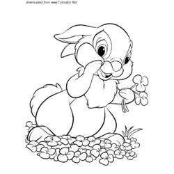 Página para colorir: lebre (animais) #10126 - Páginas para Colorir Imprimíveis Gratuitamente