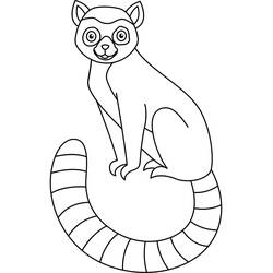 Desenho Lêmure (Animais) #219675 para imprimir e colorir