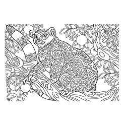 Desenho Lêmure (Animais) #219679 para imprimir e colorir