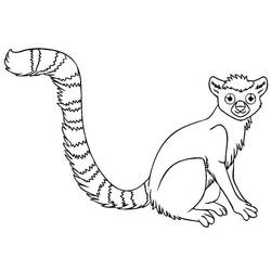 Imagem para colorir de Lêmure (Animais) #219689, fácil de imprimir