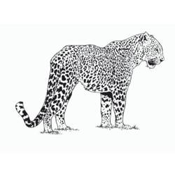 Página para colorir: Leopardo (animais) #9704 - Páginas para Colorir Imprimíveis Gratuitamente