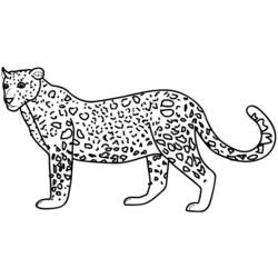 Página para colorir: Leopardo (animais) #9705 - Páginas para Colorir Imprimíveis Gratuitamente