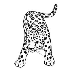 Página para colorir: Leopardo (animais) #9707 - Páginas para Colorir Imprimíveis Gratuitamente