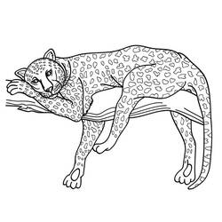 Página para colorir: Leopardo (animais) #9709 - Páginas para Colorir Imprimíveis Gratuitamente