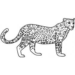 Página para colorir: Leopardo (animais) #9710 - Páginas para Colorir Imprimíveis Gratuitamente