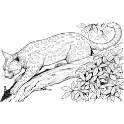 Página para colorir: Leopardo (animais) #9717 - Páginas para Colorir Imprimíveis Gratuitamente