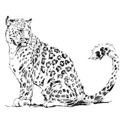 Página para colorir: Leopardo (animais) #9720 - Páginas para Colorir Imprimíveis Gratuitamente
