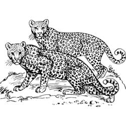 Página para colorir: Leopardo (animais) #9724 - Páginas para Colorir Imprimíveis Gratuitamente