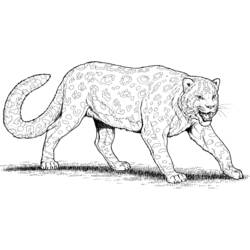 Página para colorir: Leopardo (animais) #9730 - Páginas para Colorir Imprimíveis Gratuitamente