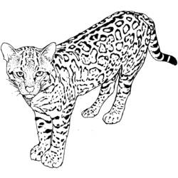 Página para colorir: Leopardo (animais) #9732 - Páginas para Colorir Imprimíveis Gratuitamente